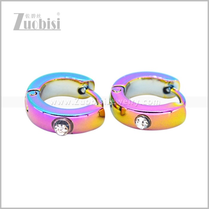 Stainless Steel Earring e003051C