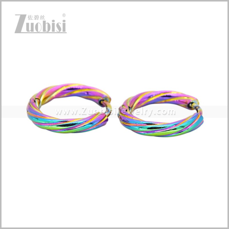 Stainless Steel Earring e003058C1