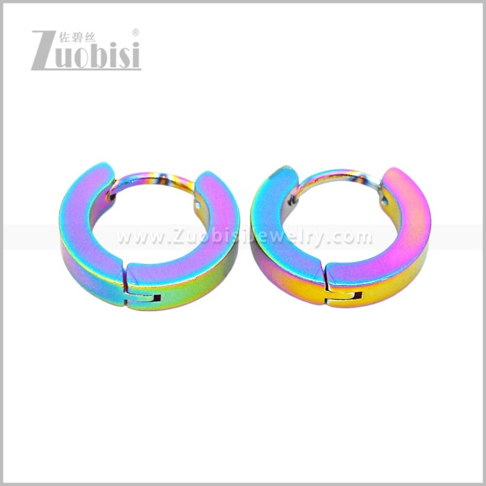 Stainless Steel Earring e003062C4