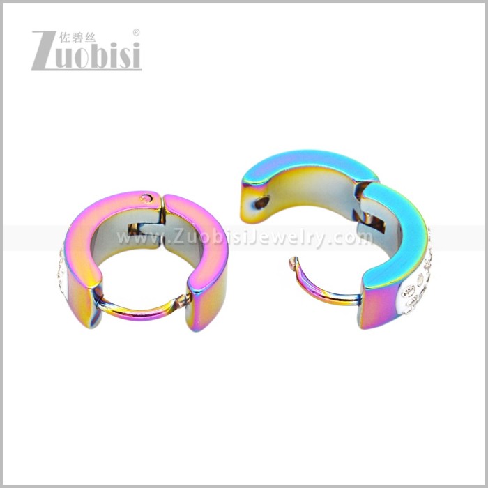 Stainless Steel Earring e003057C