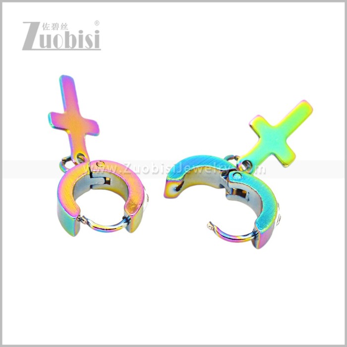 Stainless Steel Earring e003048C1