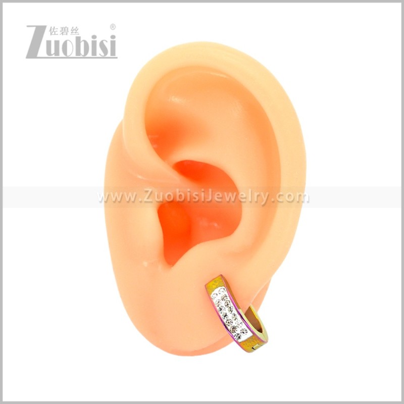 Stainless Steel Earring e003084C