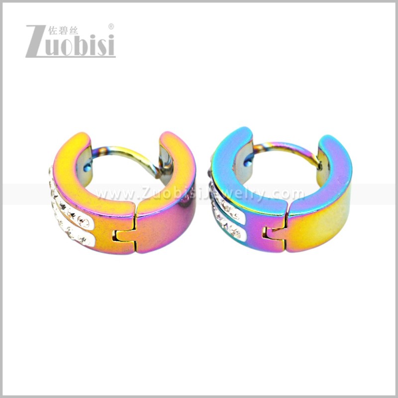 Stainless Steel Earring e003060C2