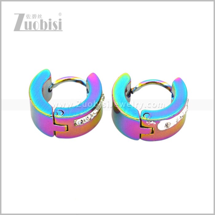 Stainless Steel Earring e003077C1