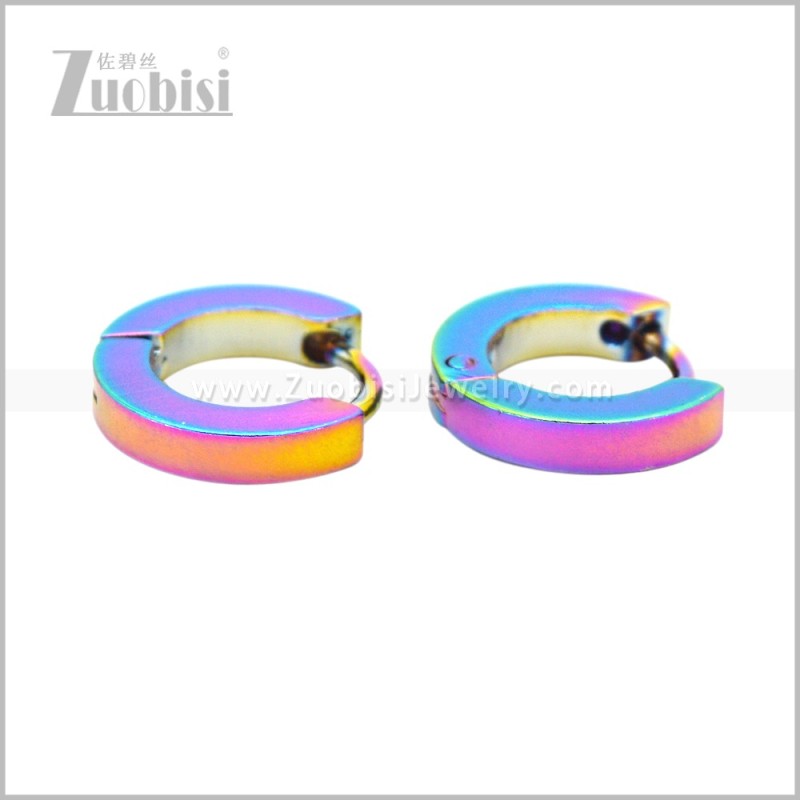 Stainless Steel Earring e003062C1