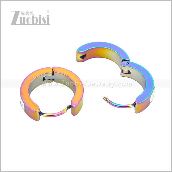 Stainless Steel Earring e003088C