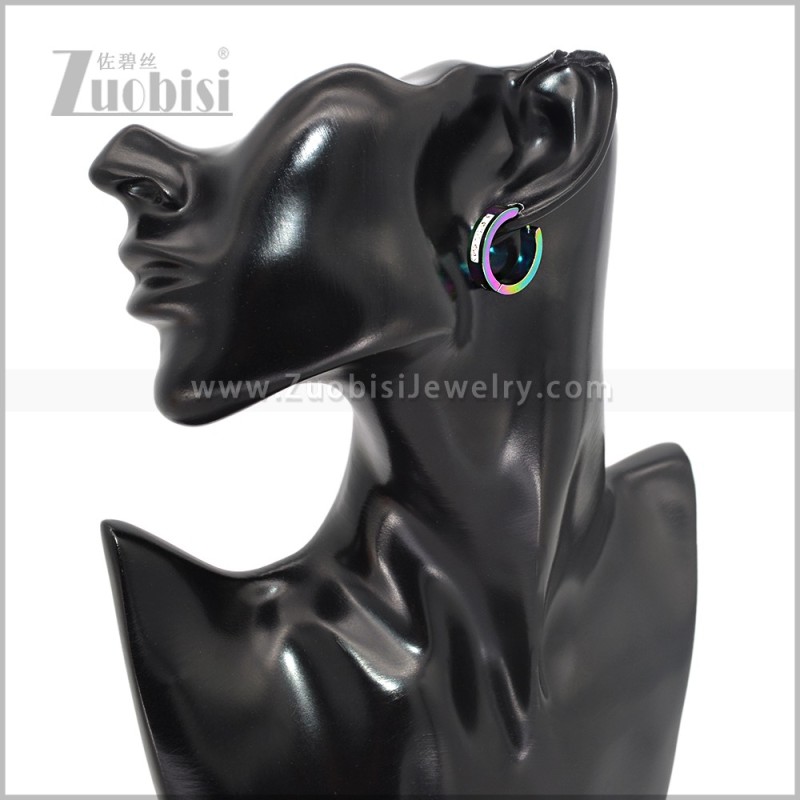 Stainless Steel Earring e003090C
