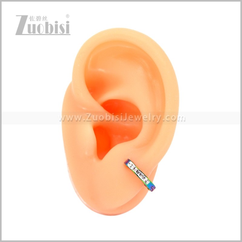 Stainless Steel Earring e003078C2