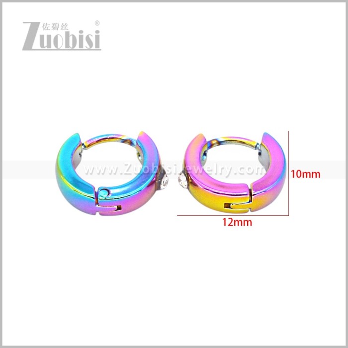 Stainless Steel Earring e003051C