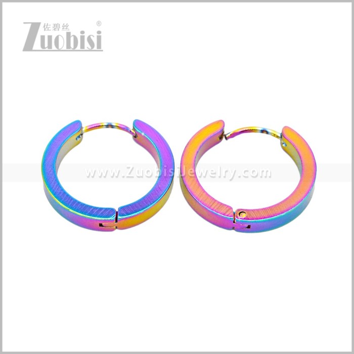 Stainless Steel Earring e003061C1