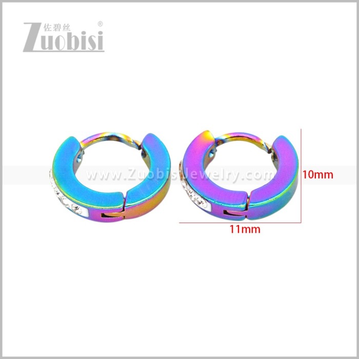 Stainless Steel Earring e003078C1