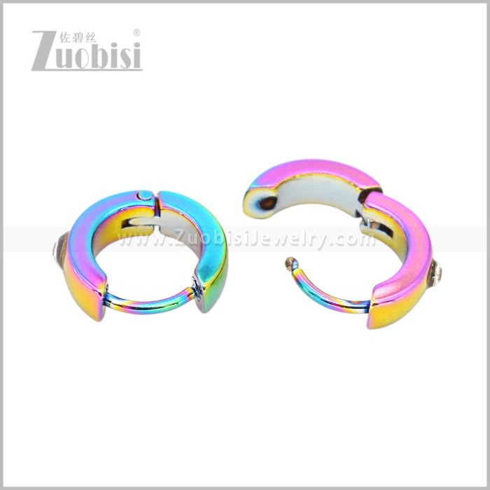 Stainless Steel Earring e003051C