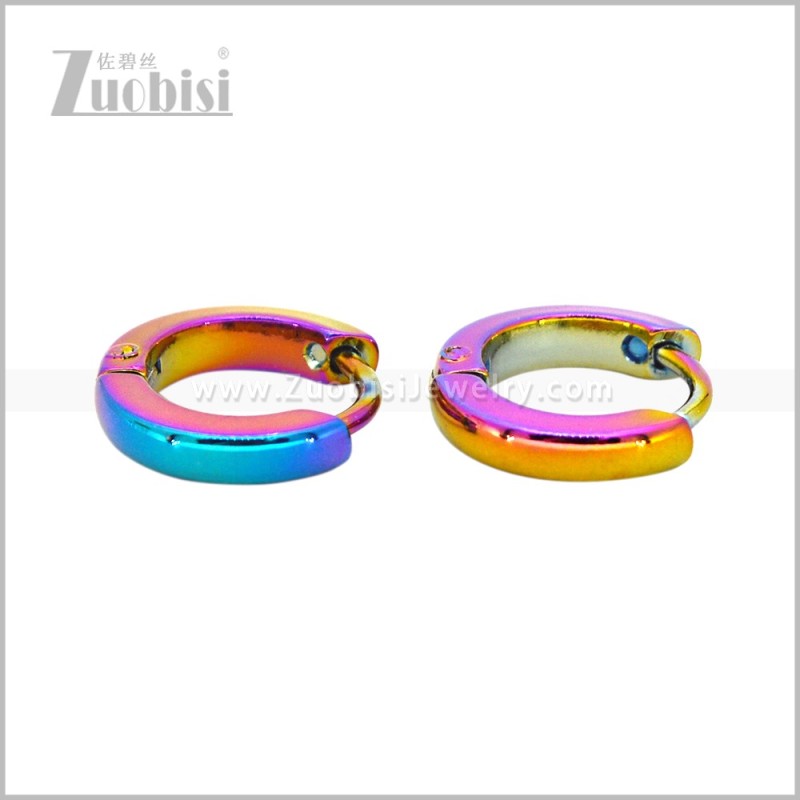 Stainless Steel Earring e003076C1