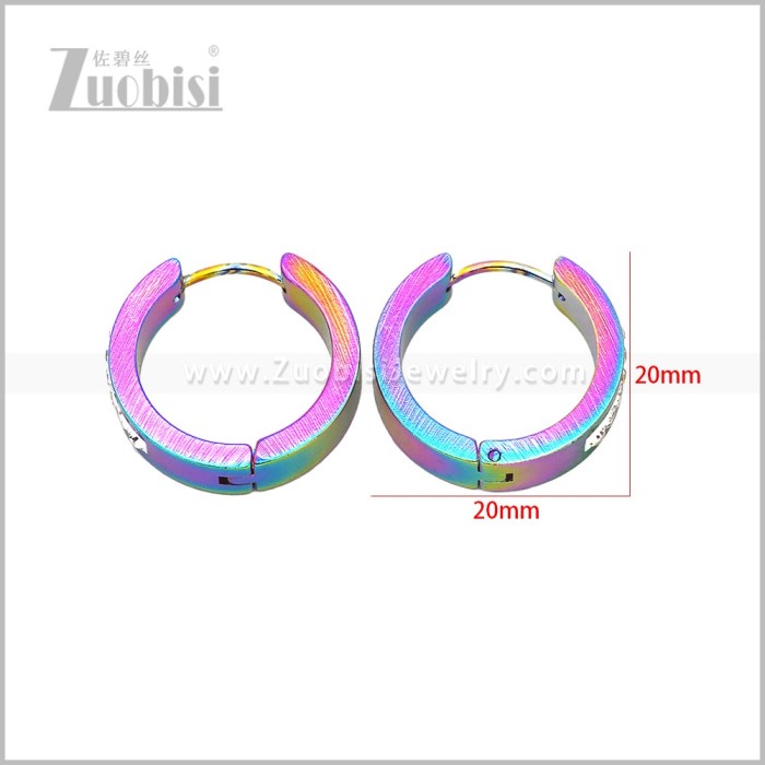 Stainless Steel Earring e003090C