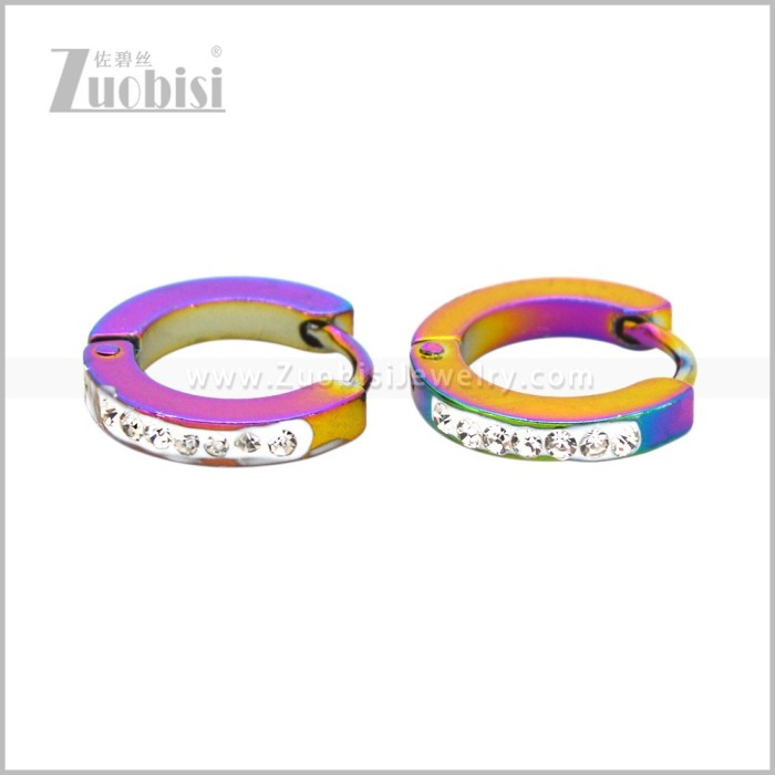 Stainless Steel Earring e003078C2