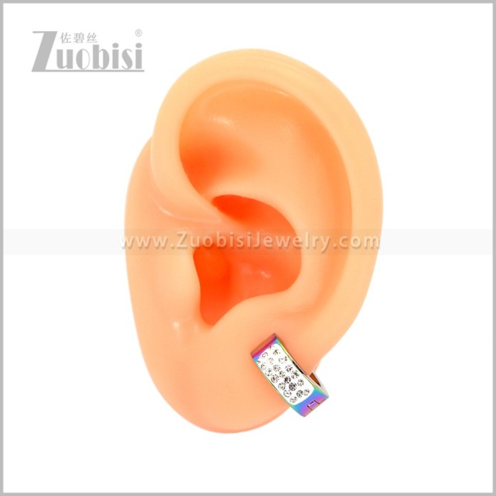 Stainless Steel Earring e003057C