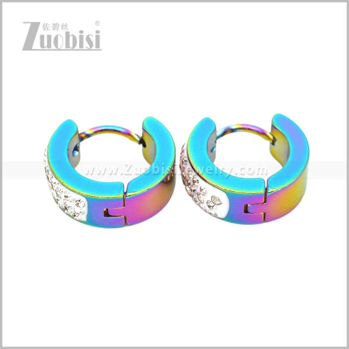 Stainless Steel Earring e003057C