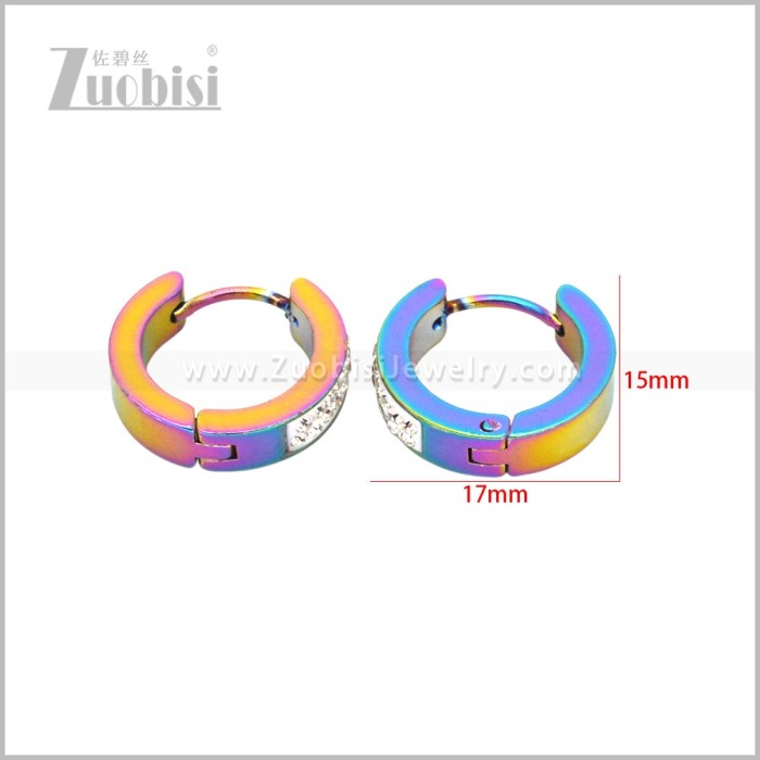 Stainless Steel Earring e003088C