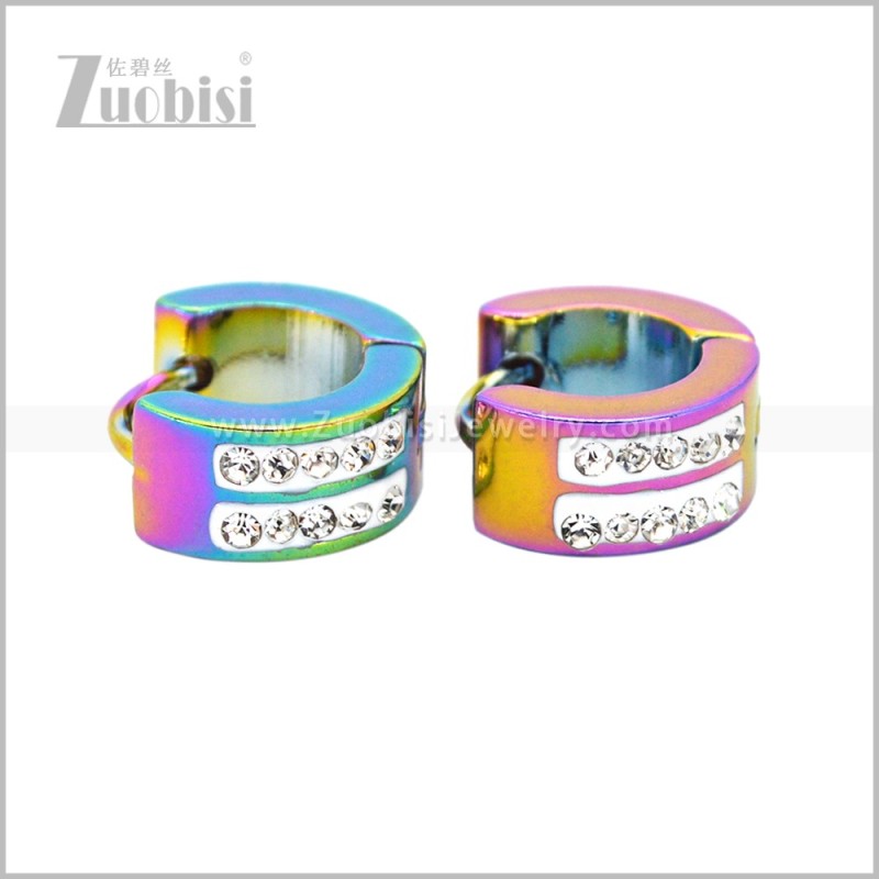 Stainless Steel Earring e003060C1