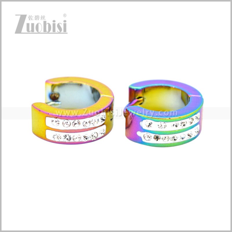 Stainless Steel Earring e003060C2
