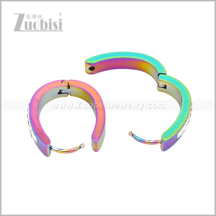 Stainless Steel Earring e003091C