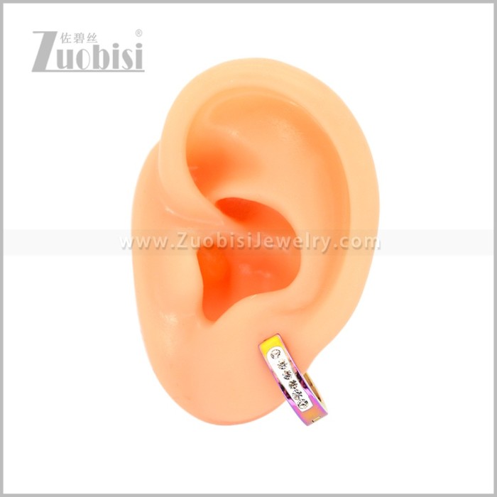 Stainless Steel Earring e003043C2