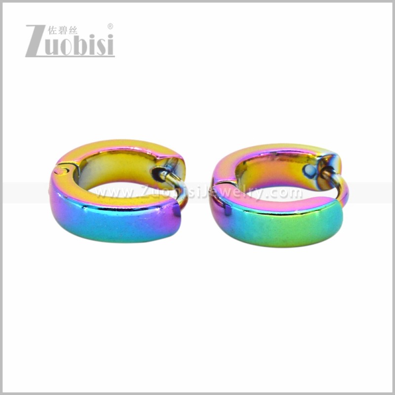 Stainless Steel Earring e003068C1