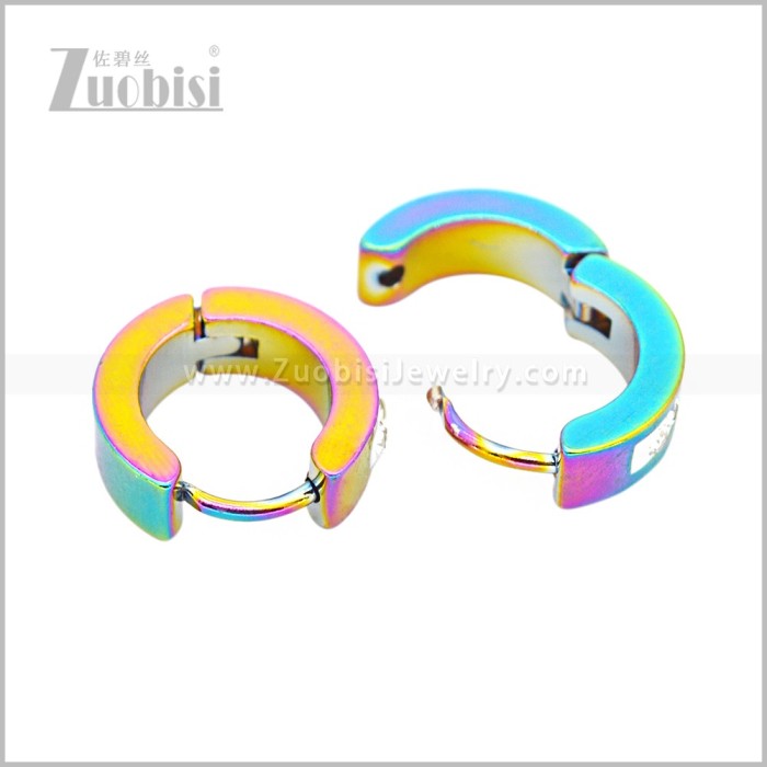 Stainless Steel Earring e003067C2