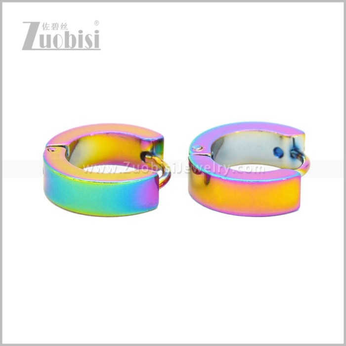 Stainless Steel Earring e003062C6