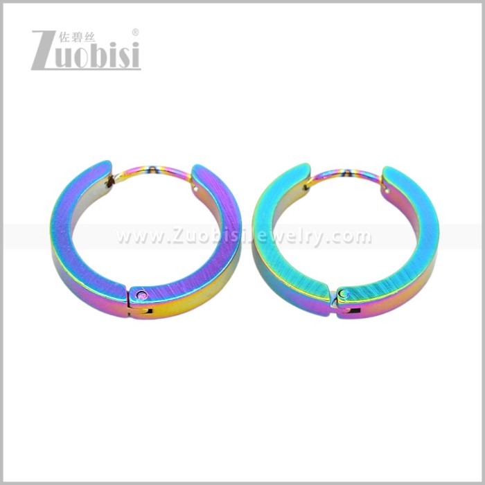 Stainless Steel Earring e003061C2