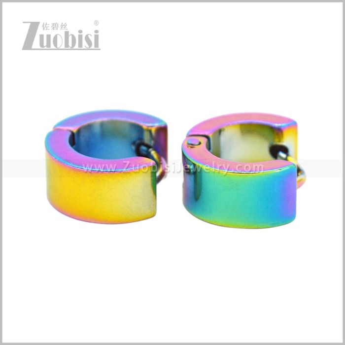 Stainless Steel Earring e003062C7