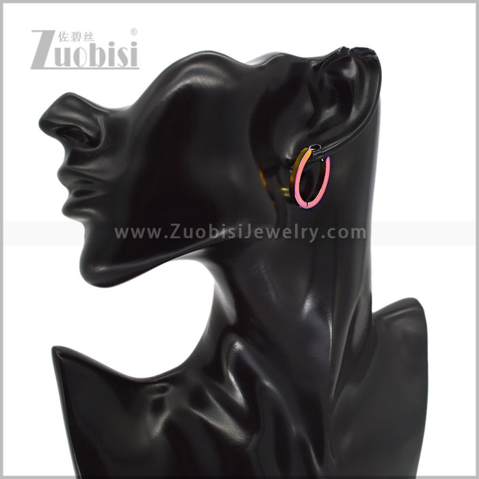 Stainless Steel Earring e003046C