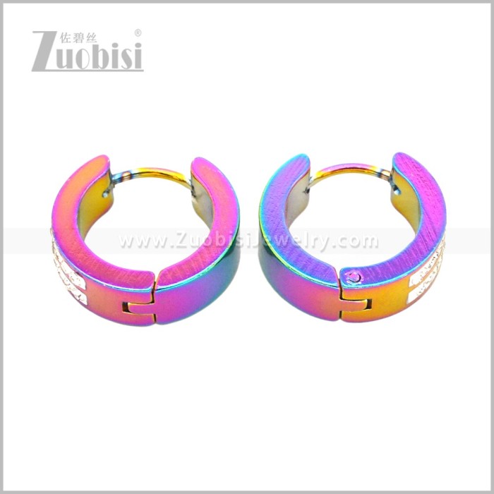 Stainless Steel Earring e003089C