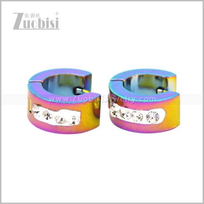 Stainless Steel Earring e003069C1