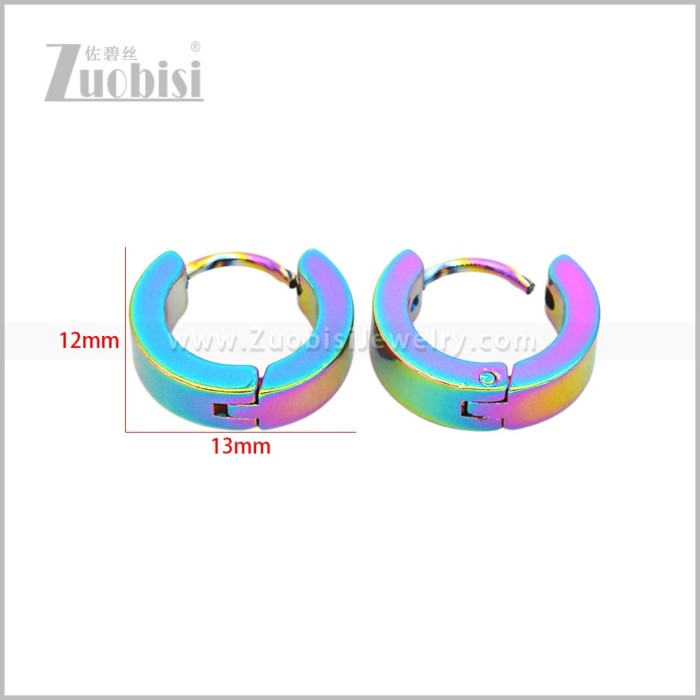 Stainless Steel Earring e003062C6