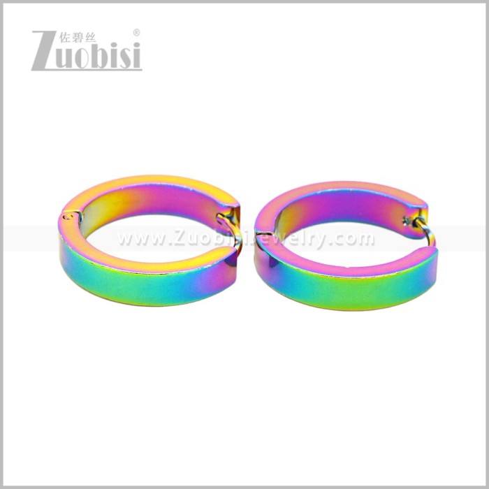 Stainless Steel Earring e003052C
