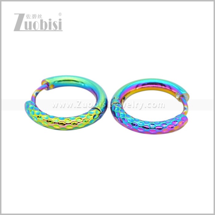 Stainless Steel Earring e003044C1
