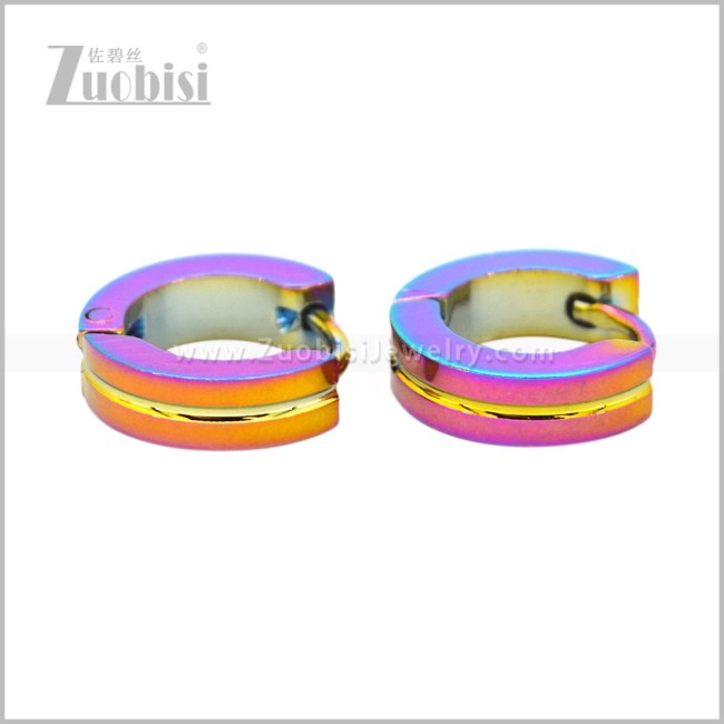 Stainless Steel Earring e003080C1