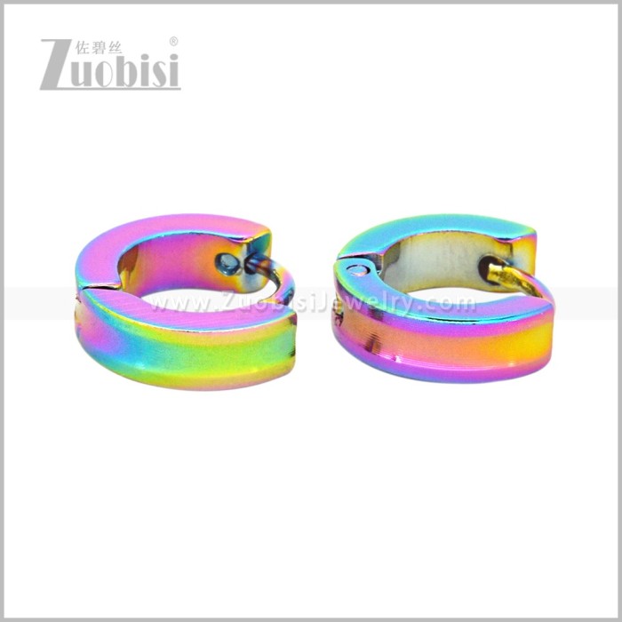 Stainless Steel Earring e003066C