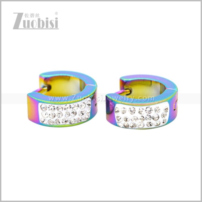 Stainless Steel Earring e003057C