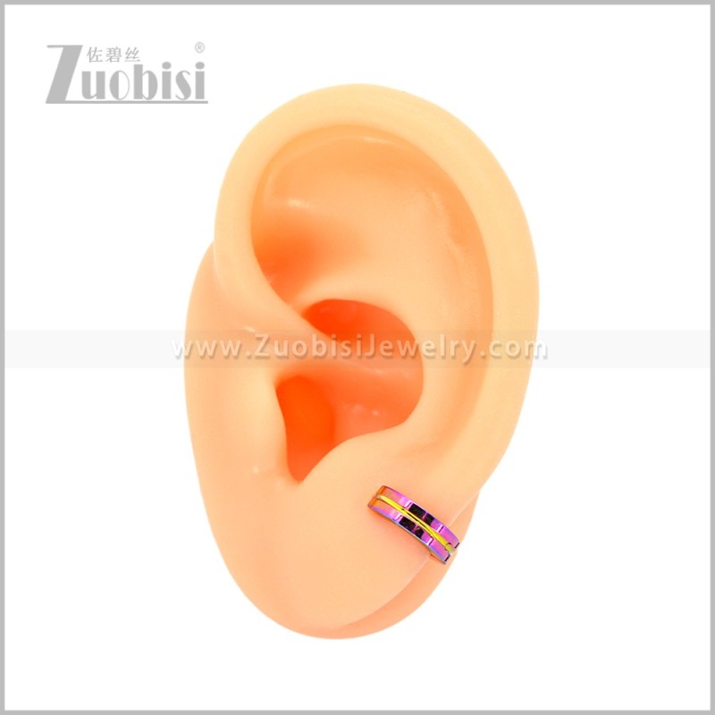Stainless Steel Earring e003080C1