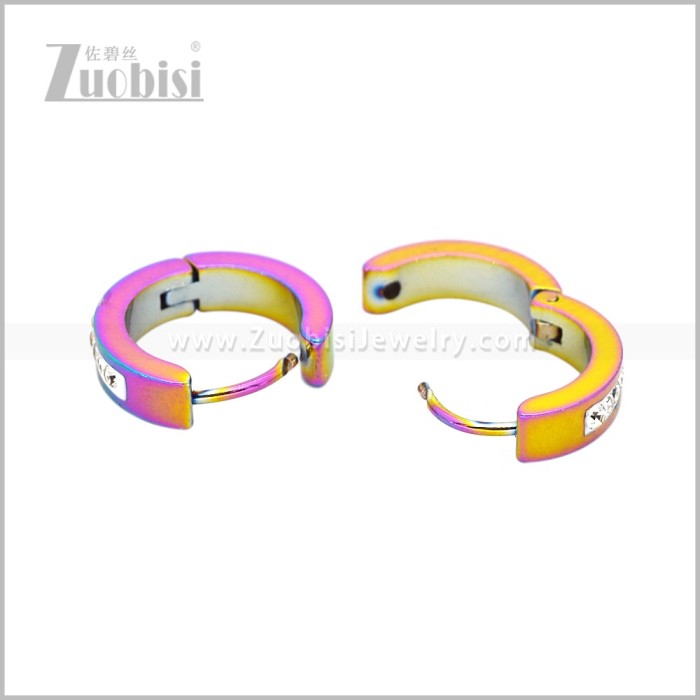 Stainless Steel Earring e003042C