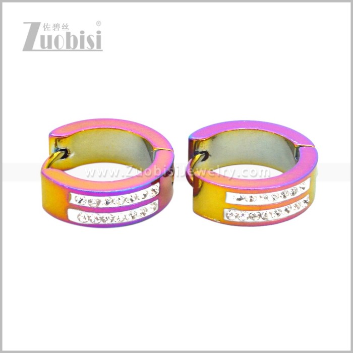Stainless Steel Earring e003089C
