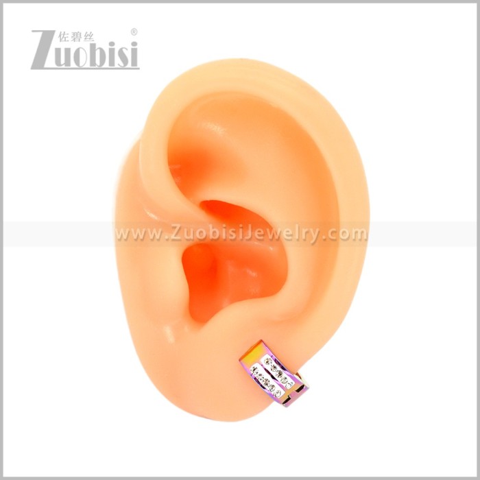 Stainless Steel Earring e003060C1