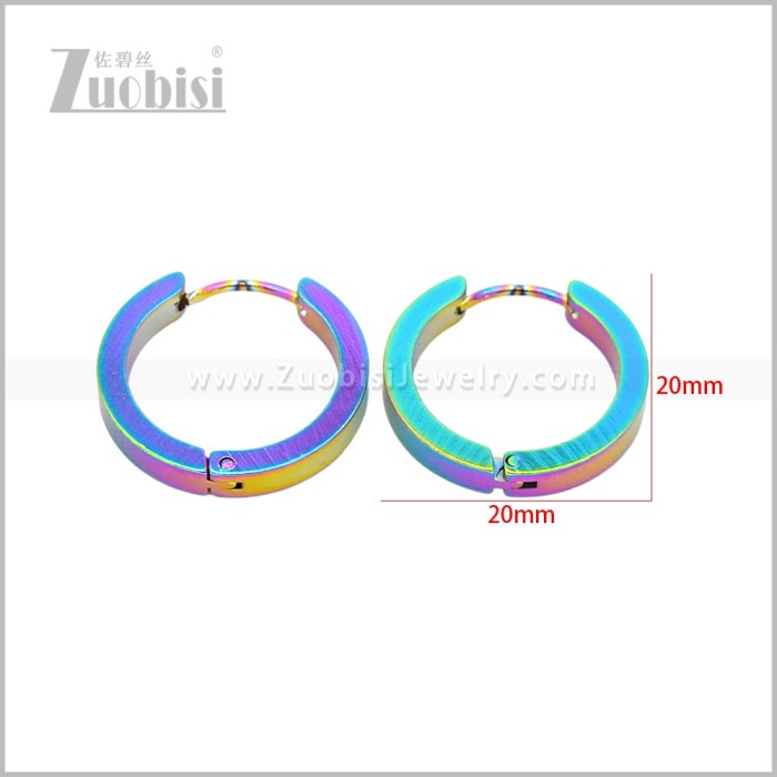 Stainless Steel Earring e003061C2
