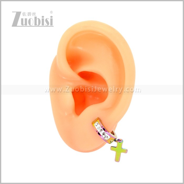 Stainless Steel Earring e003048C2