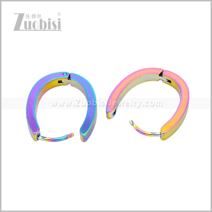 Stainless Steel Earring e003046C