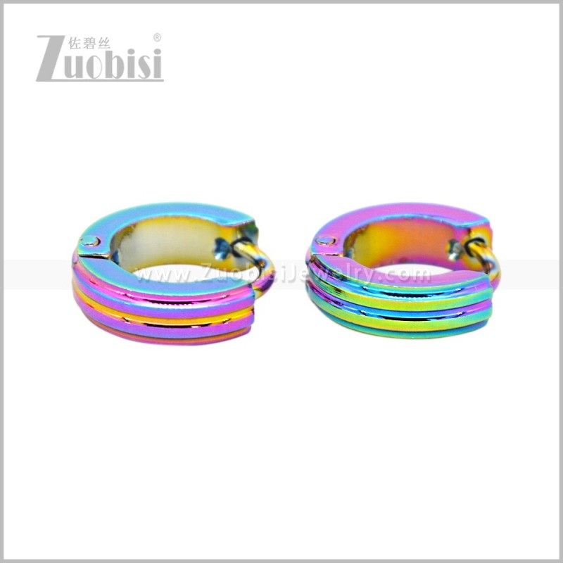 Stainless Steel Earring e003065C
