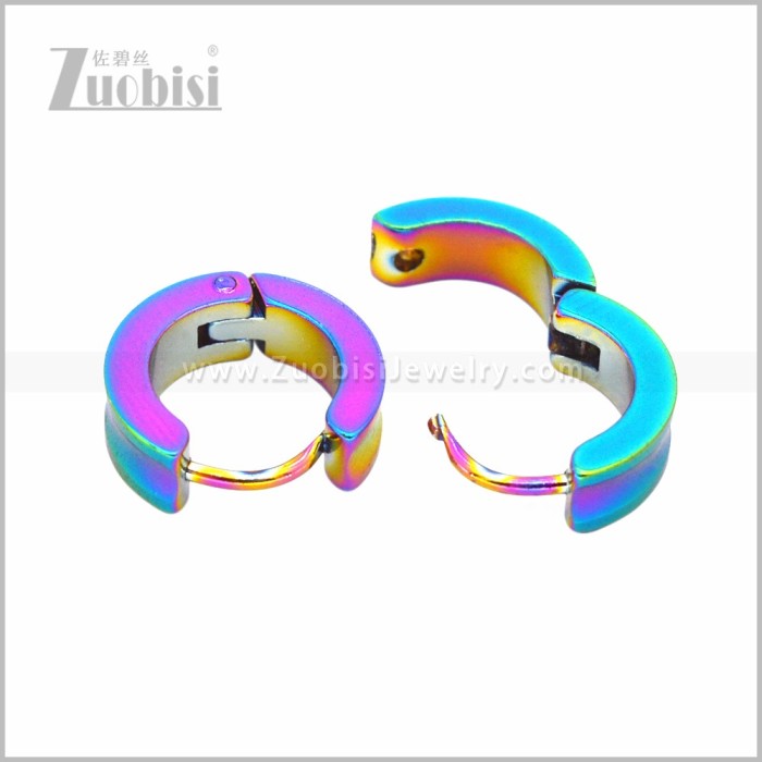 Stainless Steel Earring e003075C