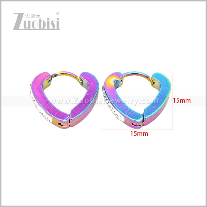 Stainless Steel Earring e003047C